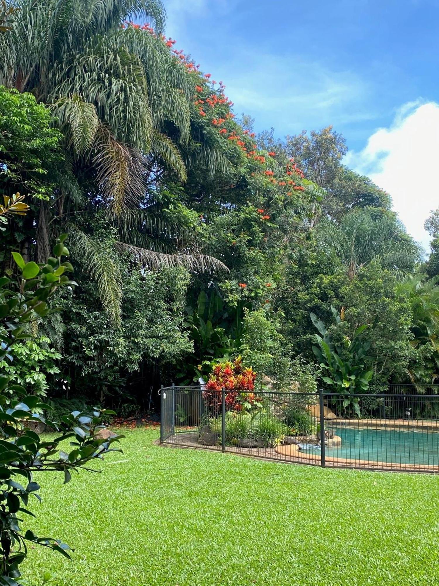 Malanda Lodge Luaran gambar